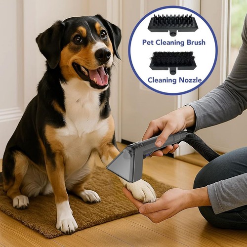 Portable carpet upholstery - portable,