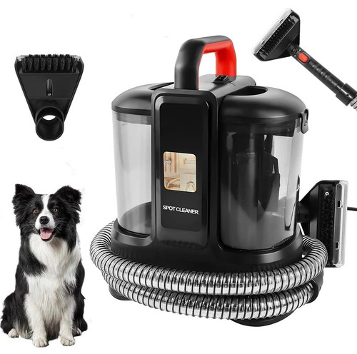 Carpet cleaner spot - spot, wash